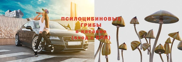 индика Абдулино