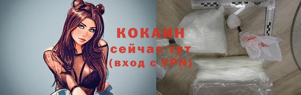 индика Абдулино