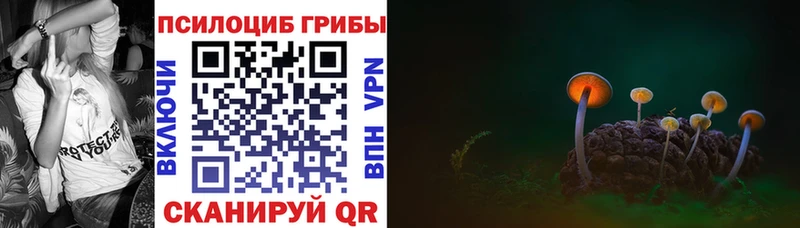 Галлюциногенные грибы Magic Shrooms  mega зеркало  Вихоревка  где купить наркоту 
